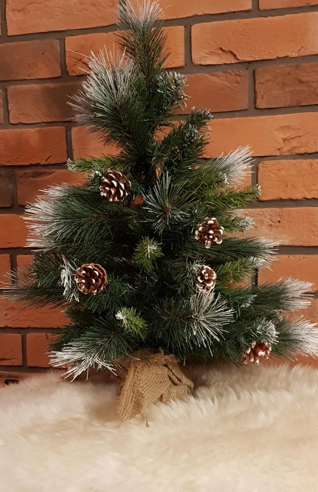 Apartamenty Bachledzki Wierch, Zakopane Exteriér fotografie